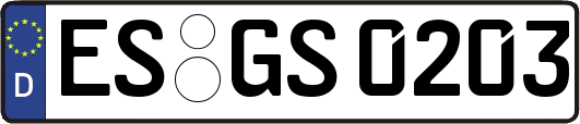 ES-GS0203