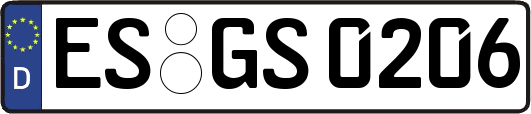 ES-GS0206
