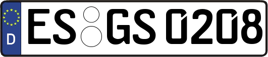 ES-GS0208