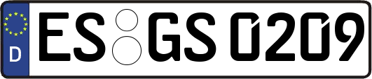 ES-GS0209