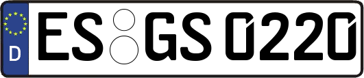 ES-GS0220
