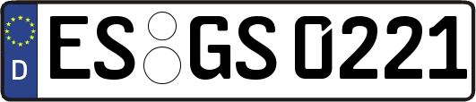 ES-GS0221