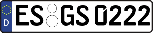 ES-GS0222