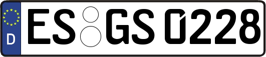 ES-GS0228