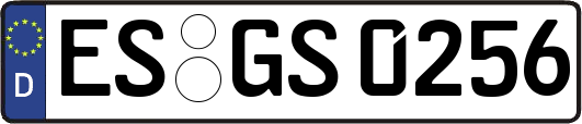 ES-GS0256