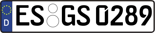 ES-GS0289