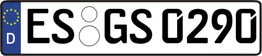 ES-GS0290