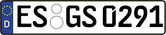 ES-GS0291