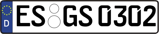 ES-GS0302