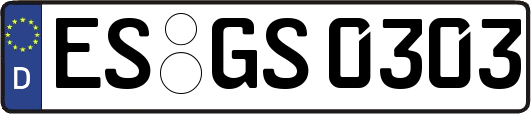 ES-GS0303