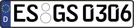 ES-GS0306