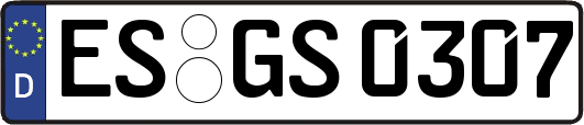 ES-GS0307