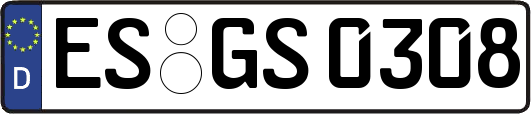 ES-GS0308