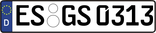 ES-GS0313