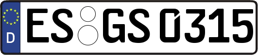 ES-GS0315