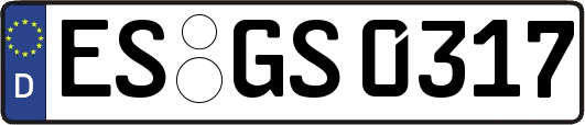 ES-GS0317