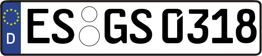ES-GS0318