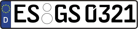 ES-GS0321