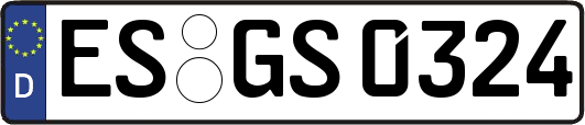 ES-GS0324