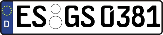 ES-GS0381