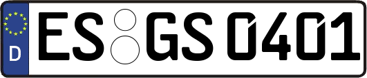 ES-GS0401