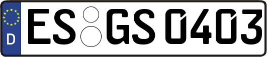 ES-GS0403