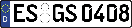 ES-GS0408