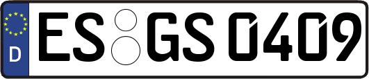 ES-GS0409