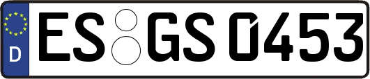 ES-GS0453