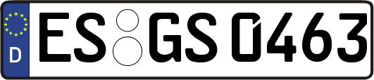 ES-GS0463