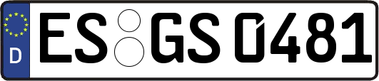 ES-GS0481