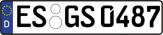 ES-GS0487