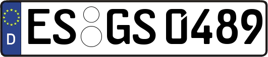 ES-GS0489