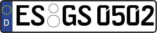 ES-GS0502