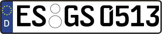 ES-GS0513