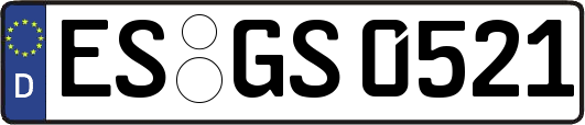 ES-GS0521