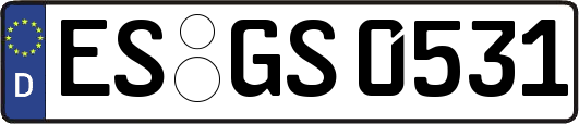 ES-GS0531