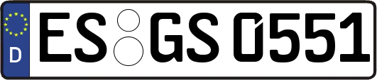 ES-GS0551