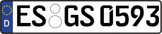 ES-GS0593