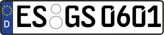 ES-GS0601