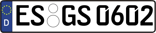ES-GS0602