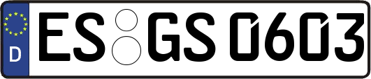 ES-GS0603