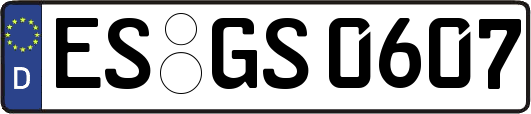 ES-GS0607