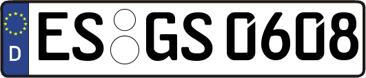 ES-GS0608