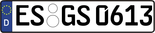 ES-GS0613