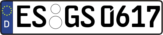 ES-GS0617