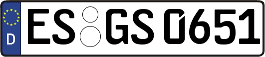 ES-GS0651