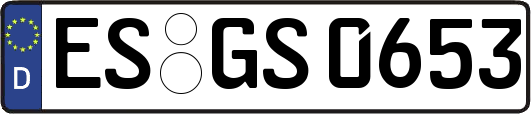 ES-GS0653