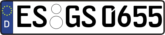 ES-GS0655