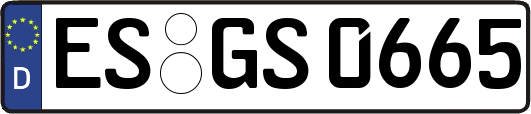 ES-GS0665
